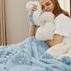 Bedsure Soft Sherpa Blanket Fluffy Throw Gift Beige 50″x60″(06 – Sky Blue)