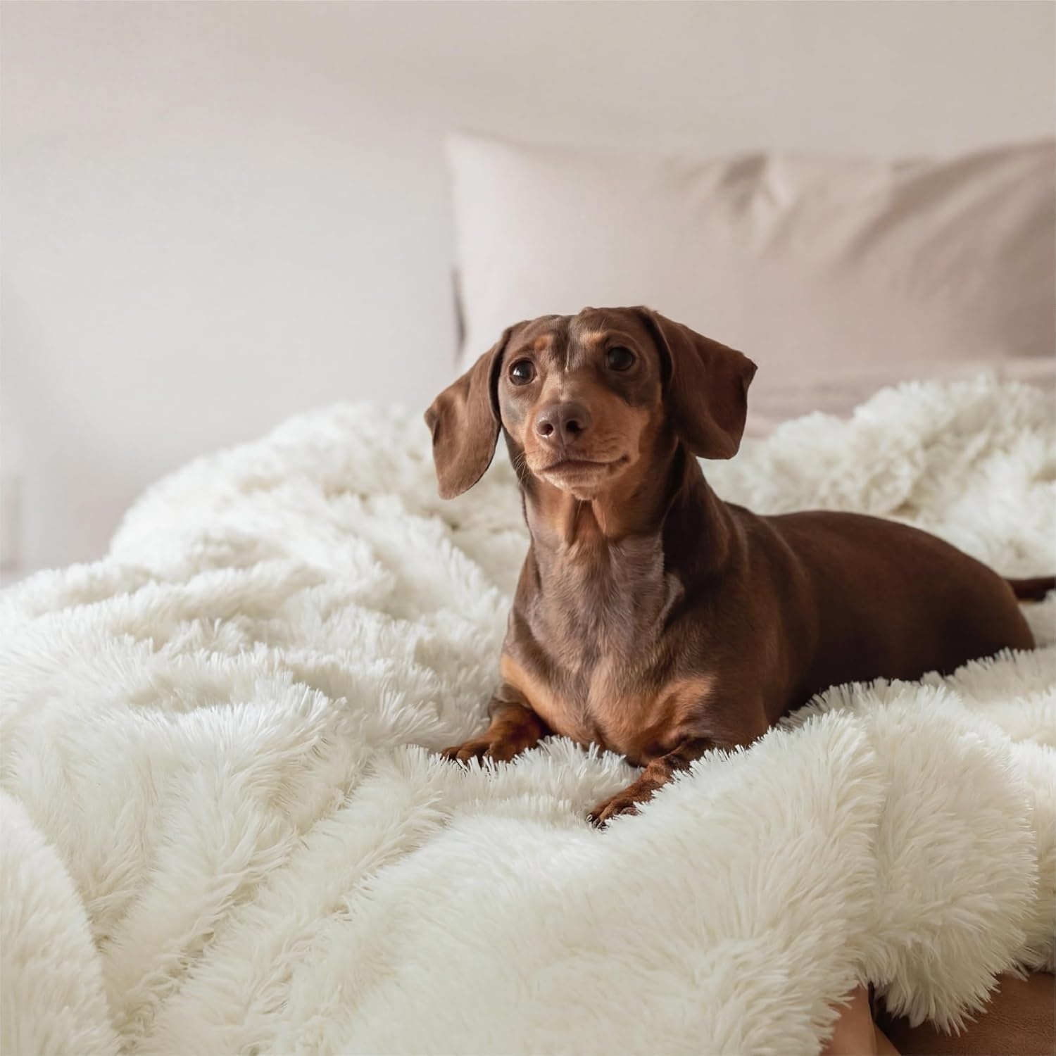 image:imageBedsure Faux Fur White Throw Blanket Fluffy Soft Shaggy Reversible01 White