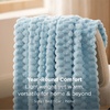 Bedsure Pink Throw Blanket for Couch – 350GSM Fluffy Plush Bubble Blanket for Bed Home Room Decor, GentleSoft Cute Fleece Soft Cozy Gifts for Women Girls, 50×60 Inches(06 – Light Blue)