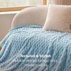 Bedsure Pink Throw Blanket for Couch – 350GSM Fluffy Plush Bubble Blanket for Bed Home Room Decor, GentleSoft Cute Fleece Soft Cozy Gifts for Women Girls, 50×60 Inches(06 – Light Blue)