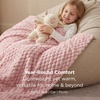 Bedsure Pink Throw Blanket for Couch – 350GSM Fluffy Plush Bubble Blanket for Bed Home Room Decor, GentleSoft Cute Fleece Soft Cozy Gifts for Women Girls, 50×60 Inches(01 – Pink)