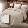 Bedsure Velvet Quilt Queen Size, Luxury Comforter Bedding Set, Beige(03 – Beige)