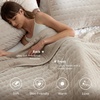 Bedsure Velvet Quilt Queen Size, Luxury Comforter Bedding Set, Beige(03 – Beige)