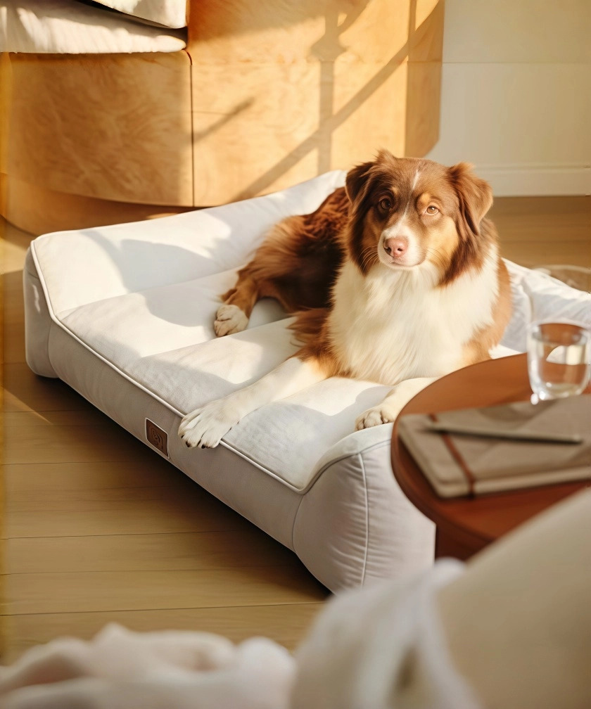 BEDSURE washable bedding and Soft Bedding Solutions