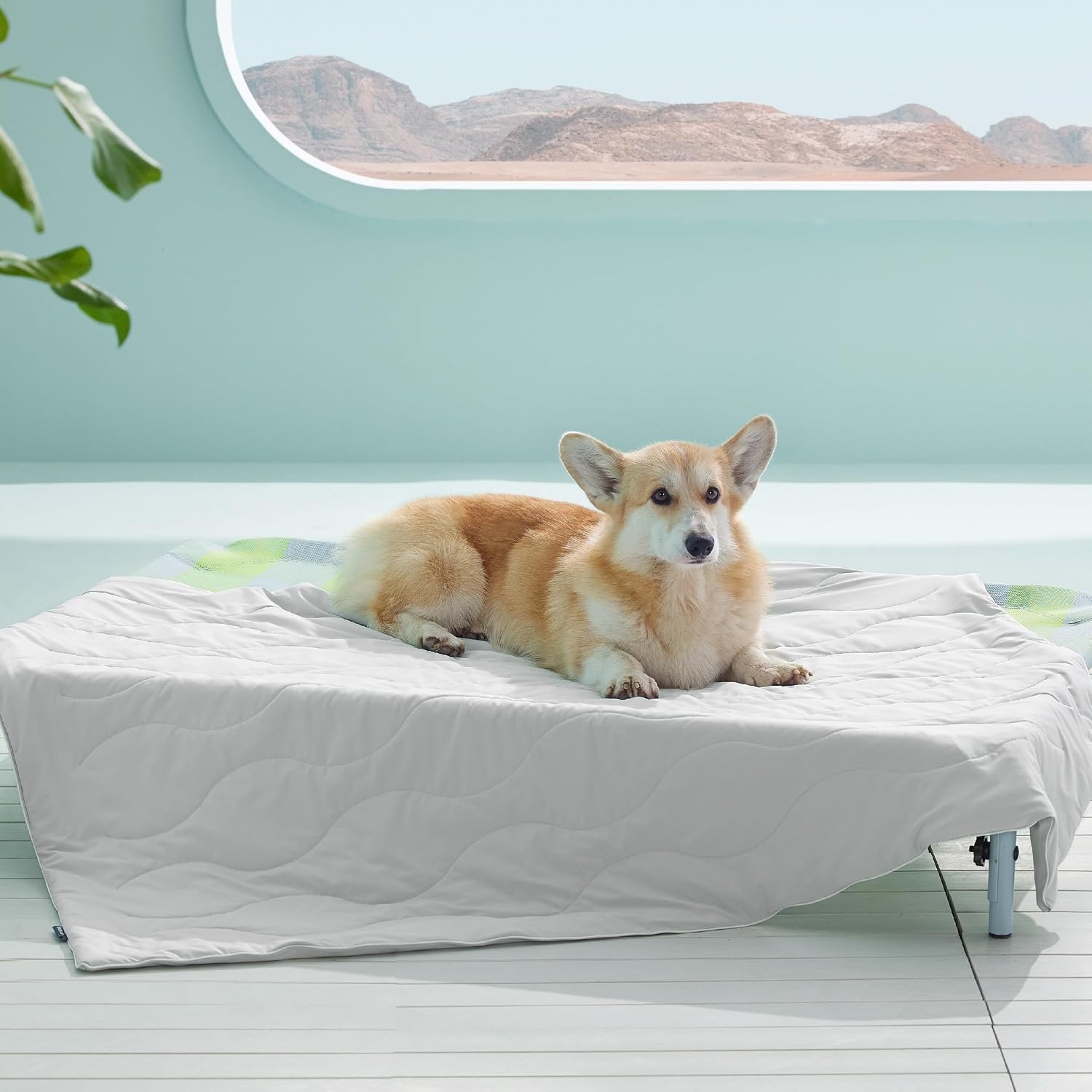 image:imageBedsure Premium Cooling Blanket for Large Dog QMAXgt05 Cooling Blanket for Large Dogs with Breathable AirCore Fill QMAXgt04 Grey 40x50