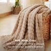 Bedsure 3D Cloud Bubble Fleece Twin Blanket for Bed, Burnt Orange, 60″×80″(Khaki)