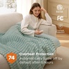 Bedsure Fluffy Bubble Faux Fur Heated Electric Blanket Twin, Coconut White(04 – Emerald Green)