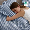 Bedsure Gingham Sheets Queen Size, 4 Piece Brown Ruffle Farmhouse Bedsheet(Light Blue)