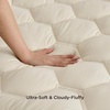 Bedsure Mattress Pad Bundle Flannel Fitted Sheet Only, Quilted Fitted Mattress Topper Protector with Deep Pocket, Noiseless Breathable Bed Cover Padded, Velvet Bottom Sheet, Queen, Beige & Oat Milk