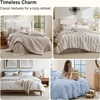 Bedsure Blue Gingham Comforter Set Queen Size, Soft Fall Bedding 3 pcs(02 – Blue Gingham)