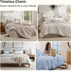 Bedsure Blue Gingham Comforter Set Queen Size, Soft Fall Bedding 3 pcs(03 – Black White Stripes)