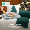 Bedsure Christmas Duvet Cover Queen Size – Reversible Bedding Collection with a Festive Wishes Pattern, Includes 1 Duvet Cover and 2 Pillow Shams (Queen, Christmas Wishes)(09 – Green Forest (No Comforter))